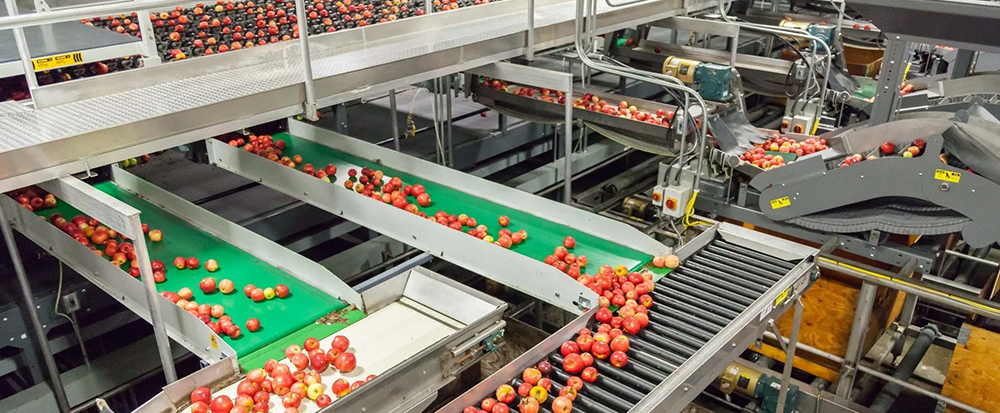 Food Production Lines